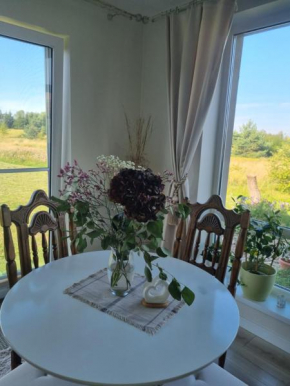 Vilmos House in Vydmantai